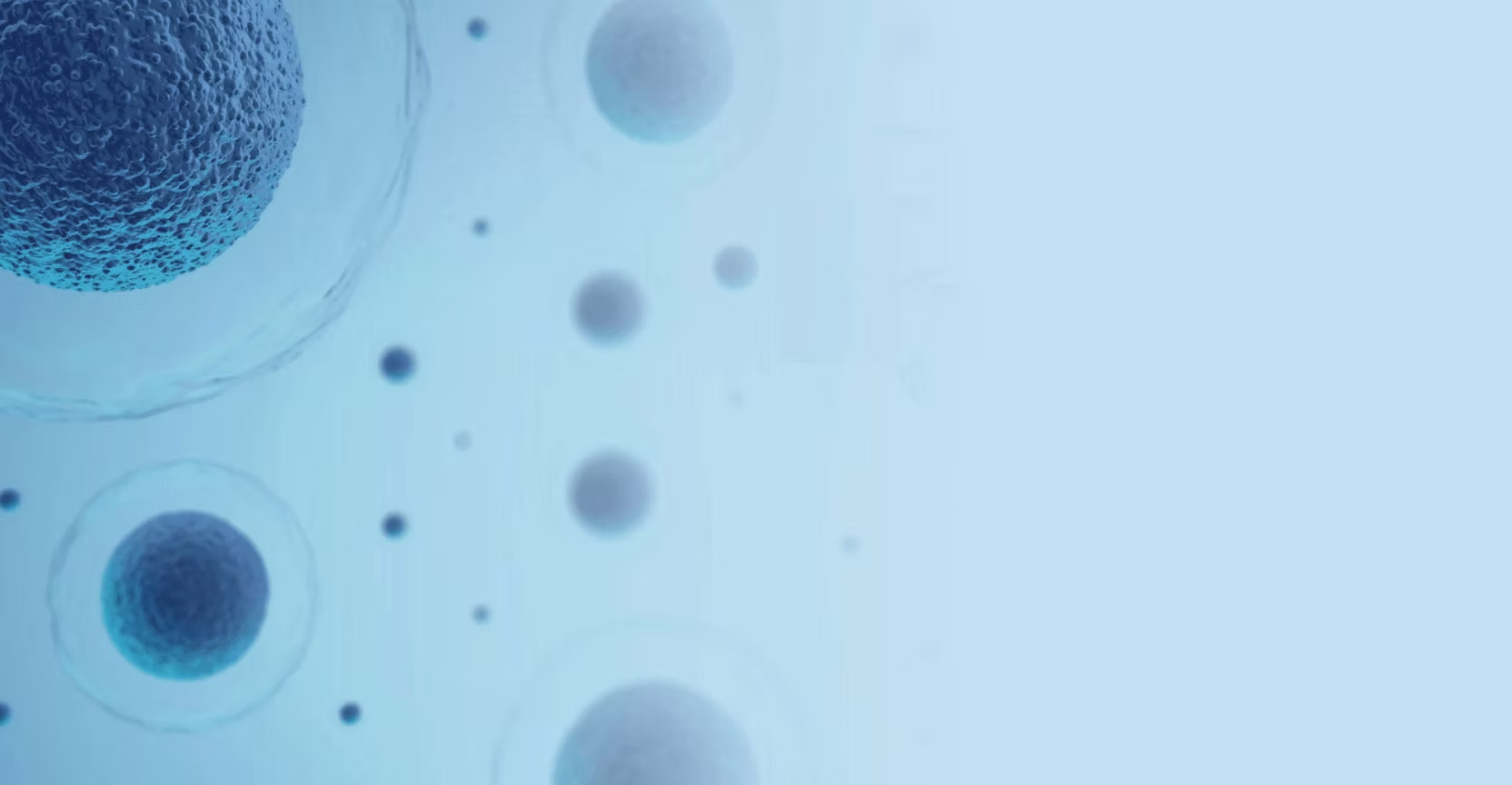 EviCure extracellular vesicle research visual